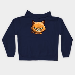 Funny Angry Cat Cartoon Design Kids Hoodie